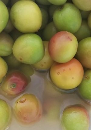 カリカリ小梅-レシピのメイン写真