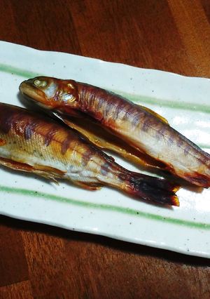あまごの味噌漬け-レシピのメイン写真