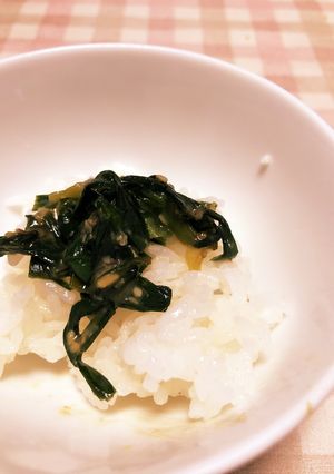 ご飯のお供〜ニラみそ炒め〜-レシピのメイン写真