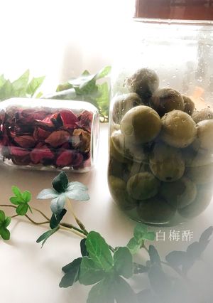 白梅酢-レシピのメイン写真