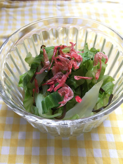 塩昆布キャベツ-レシピのメイン写真