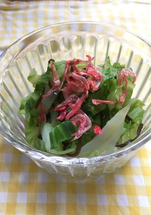 塩昆布キャベツ-レシピのメイン写真