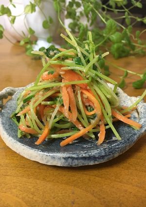 豆苗と人参のナムル-レシピのメイン写真