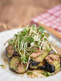 ツナとなすの薬味サラダ-レシピのメイン写真