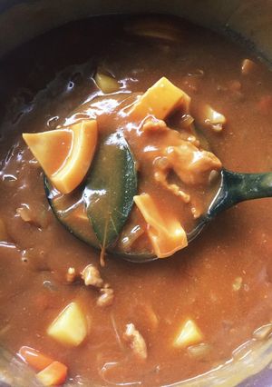 たけのこカレー〜美味しいよん〜-レシピのメイン写真
