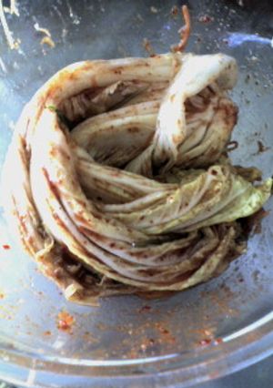 漬け物石要らずのキムチもどき(朝鮮漬)-レシピのメイン写真