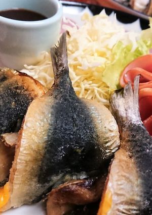 オーブンで！大葉とチーズのイワシロール-レシピのメイン写真