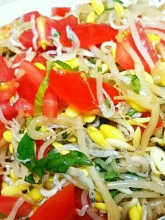 豆もやしとトマトの中華ポン酢和え♥簡単☆-レシピのメイン写真