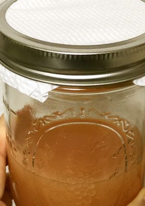 非加熱トマトビネガー　酵母たっぷり-レシピのメイン写真