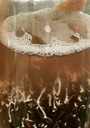 黒米 酵素ジュース 砂糖不使用 酵素水-レシピのメイン写真