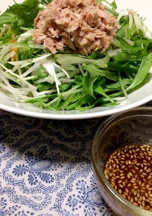 ごま香る水菜サラダ-レシピのメイン写真