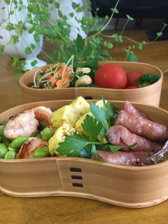 しらすの卵焼きワッパのお弁当-レシピのメイン写真