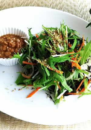 和野菜の納豆ドレッシングサラダ♪-レシピのメイン写真