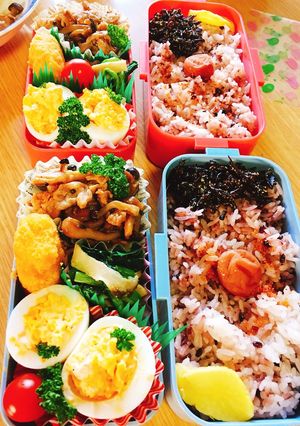 娘達に節約弁当-レシピのメイン写真