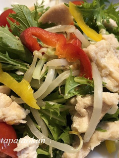 野菜たっぷり♪ムネ肉の冷しゃぶ風-レシピのメイン写真