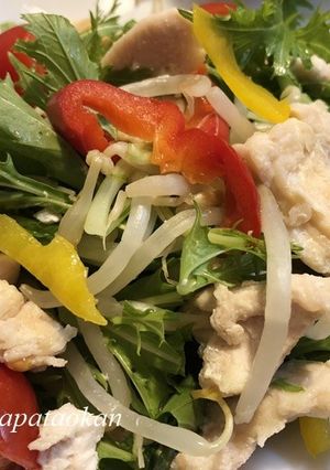 野菜たっぷり♪ムネ肉の冷しゃぶ風-レシピのメイン写真