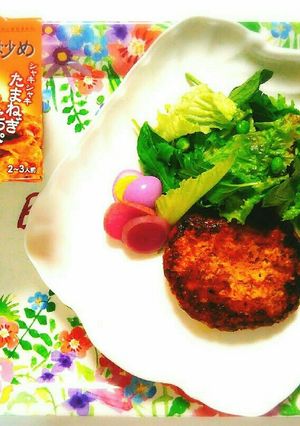 低糖質！鶏むね肉で簡単キムチバーグ-レシピのメイン写真