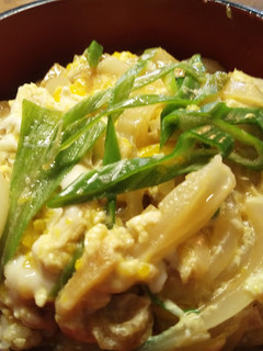 玉ねぎ丼(新玉ねぎ)-レシピのメイン写真