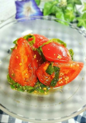 ５分で簡単！トマトと大葉のマリネ-レシピのメイン写真