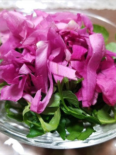 ハマナスの花とクレソンのサラダ-レシピのメイン写真