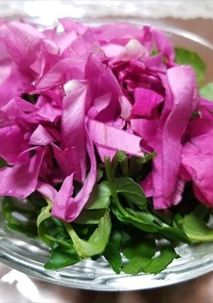 ハマナスの花とクレソンのサラダ-レシピのメイン写真