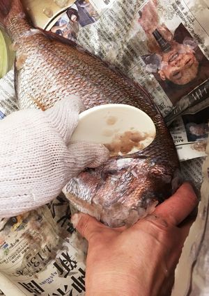 鯛のウロコ取りにはしゃもじ-レシピのメイン写真