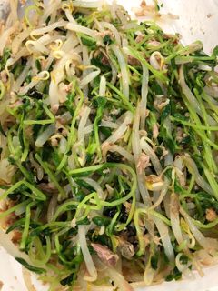 もやしと豆苗のツナ和え-レシピのメイン写真