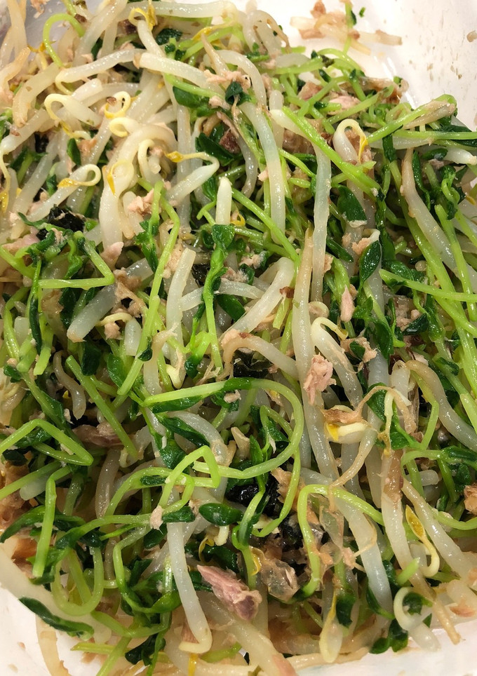 もやしと豆苗のツナ和え-レシピのメイン写真