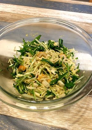 10分副菜！切り干し大根と水菜のサラダ-レシピのメイン写真