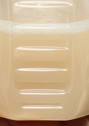 しょうが酵母　使用　砂糖なし　ソーダ-レシピのメイン写真