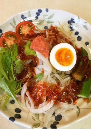 野菜たっぷりふるる冷麺-レシピのメイン写真
