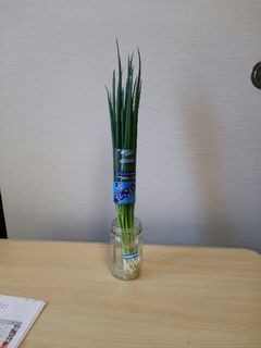 ネギの新鮮な保存-レシピのメイン写真