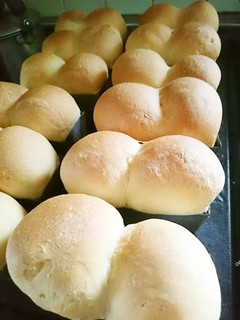 ミニパウンド型で ミニミニ食パン-レシピのメイン写真