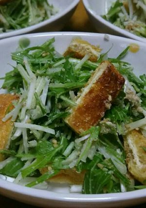 ゴマたっぷりカリカリ油揚げ入り水菜サラダ-レシピのメイン写真