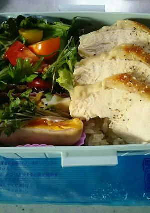 置くだけ簡単！お弁当を早く冷やす方法-レシピのメイン写真