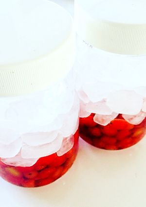 ぐみ酒-レシピのメイン写真