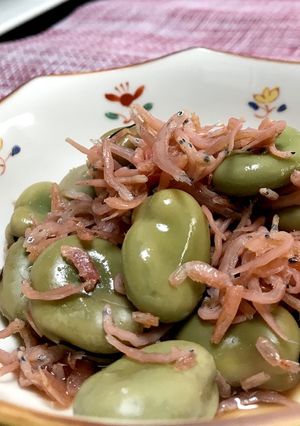 空豆のしらす素干し海老の煮物-レシピのメイン写真