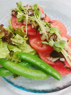 塩昆布と新玉ねぎソースの簡単トマトサラダ-レシピのメイン写真