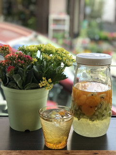 美容におススメ! キウイフルーツ酢-レシピのメイン写真