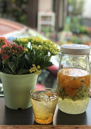美容におススメ！　キウイフルーツ酢-レシピのメイン写真