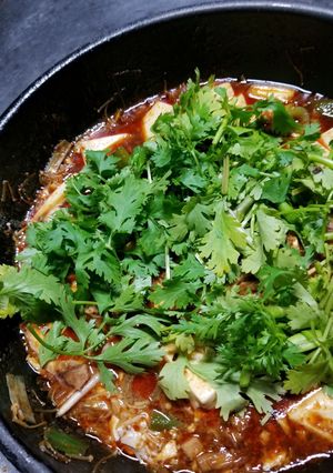 意外な組み合わせ「パクチー乗せ麻婆豆腐」-レシピのメイン写真