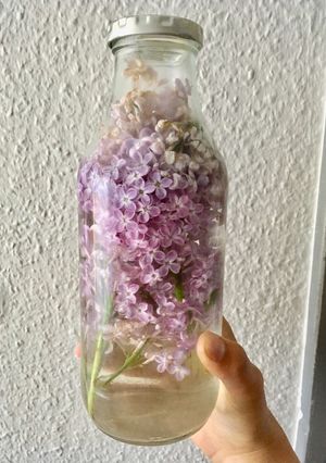 リラックのフレーバーウォーター-レシピのメイン写真