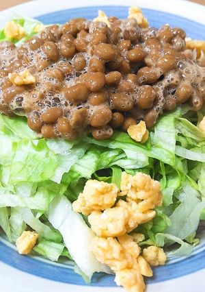 納豆サラダ冷麺-レシピのメイン写真