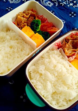 中学男子弁当（１６）生姜焼き-レシピのメイン写真