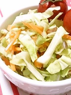 春キャベツと搾菜の浅漬け-レシピのメイン写真