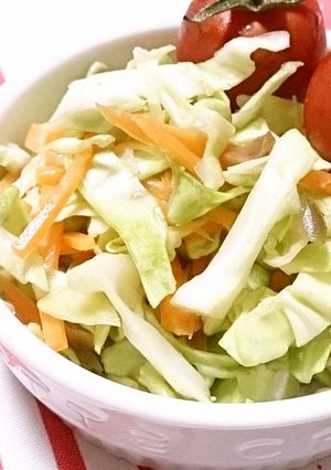 春キャベツと搾菜の浅漬け-レシピのメイン写真