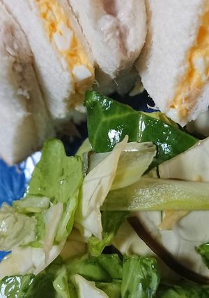 お通しキャベツ-レシピのメイン写真