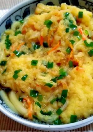 出汁の利いた煮込み天ぷらうどん-レシピのメイン写真