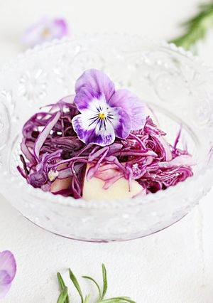 紫キャベツの常備菜でお弁当をカラフルに♪-レシピのメイン写真