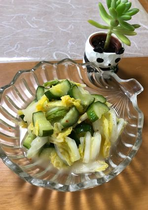 簡単☆生姜味の漬け物ヾ(๑╹◡╹)ﾉ"-レシピのメイン写真